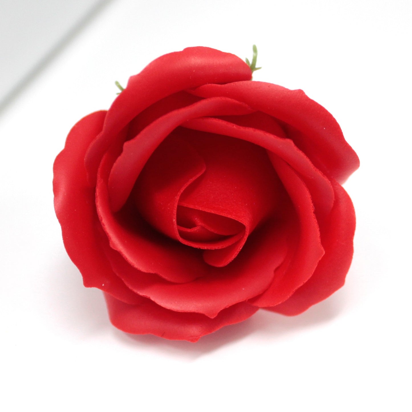 Fiori di Sapone-Rosa Rossa